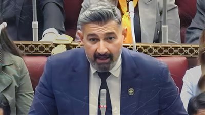 النائب ياسر جلال يطالب بعدم الحجز على المعاش للأرامل