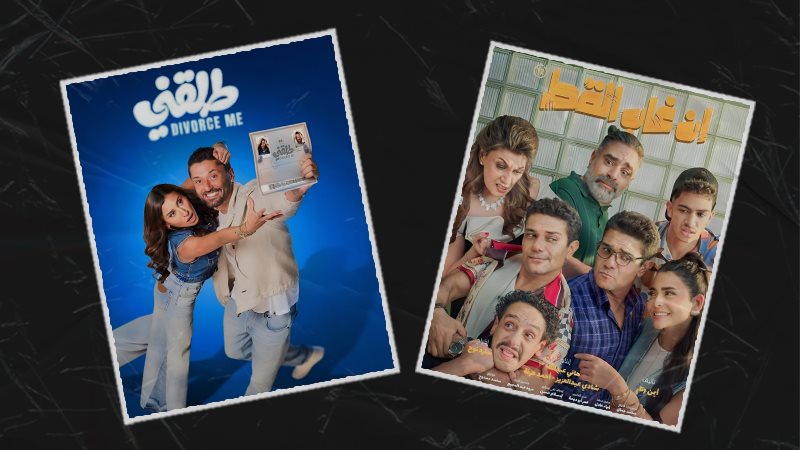 فيلم إن غاب القط