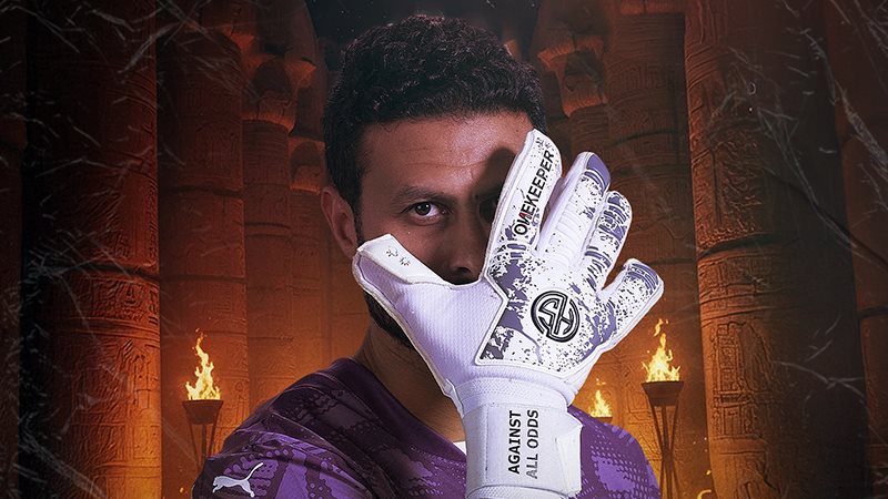 محمد الشناوى