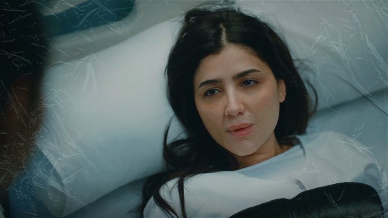 مسلسل الست موناليزا