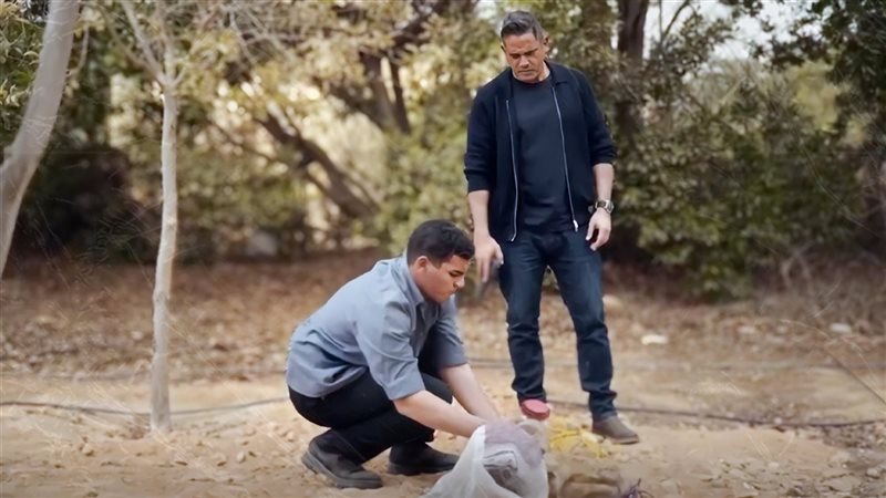 مسلسل رأس الأفعى 