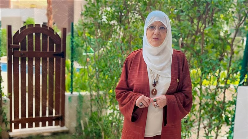 شمس البارودي 