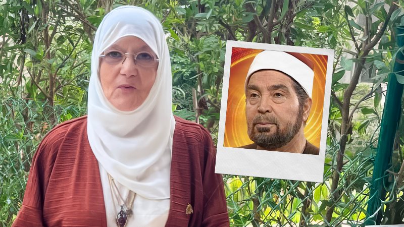 حسن يوسف وشمس البارودي