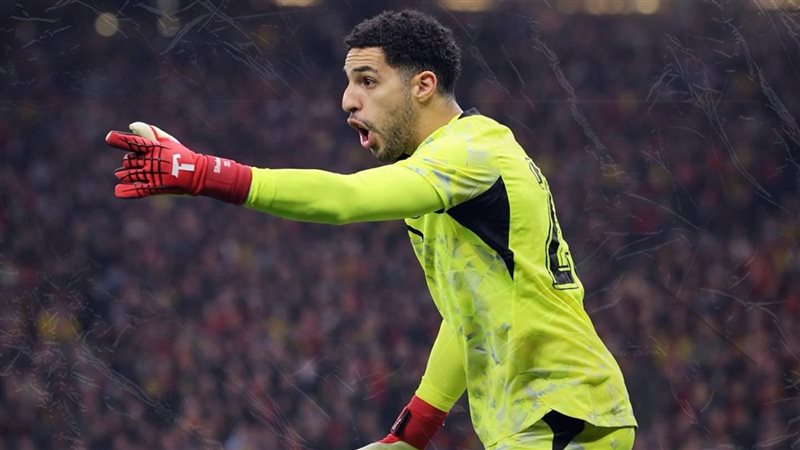 مصطفى شوبير