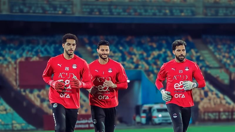 المهدي - الشناوي