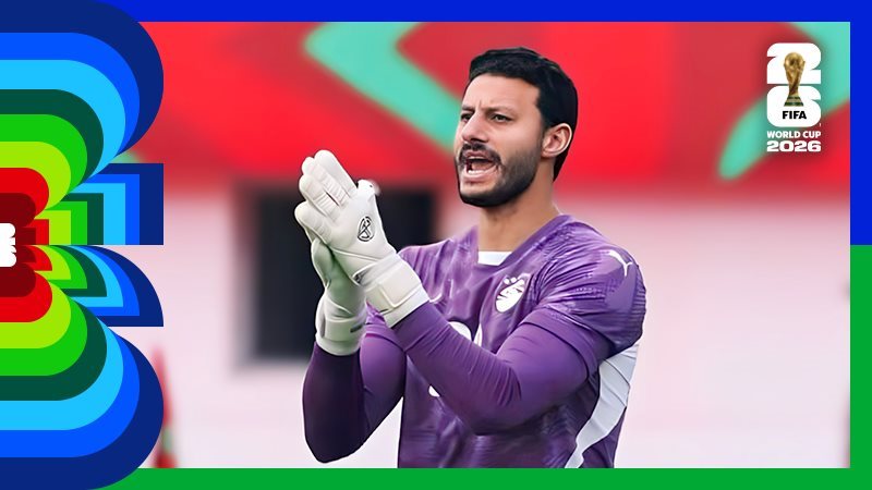 محمد الشناوي