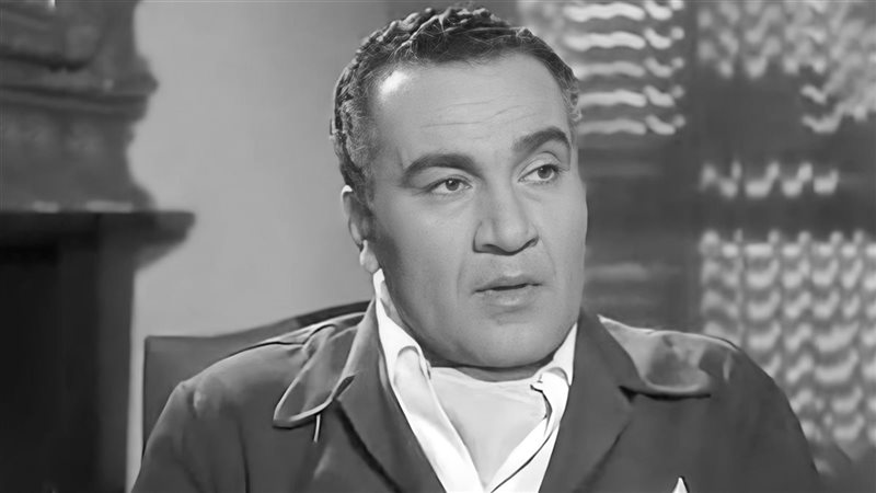  نظيم شعراوي