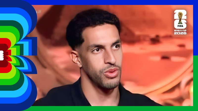 مصطفى شوبير